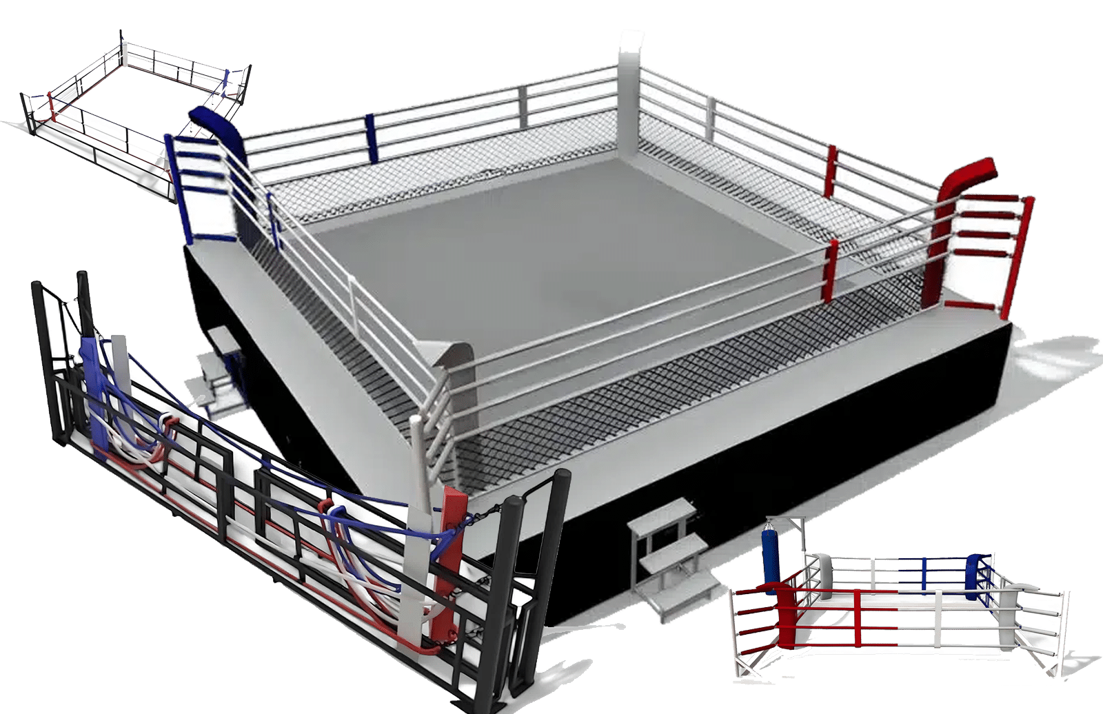 boxing rings in india