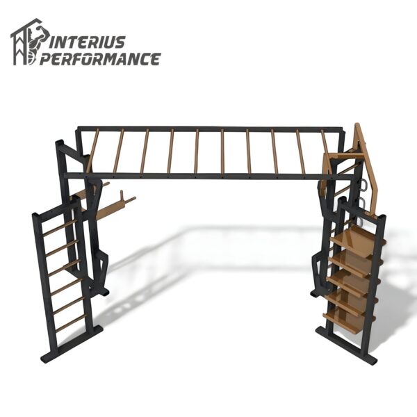 Elite CrossFit Rig