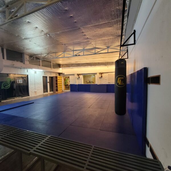 Wall Pads - Image 3