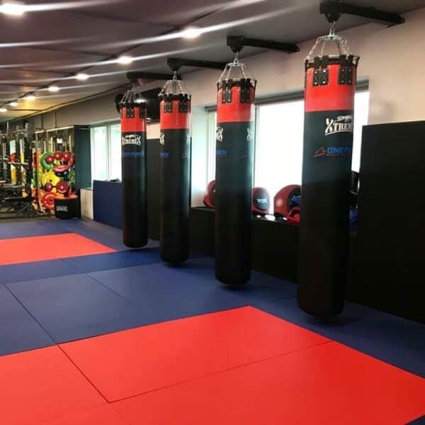 Jiujitsu/Tatami Mats - Image 6